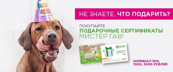 Подарочные сертификаты Мистер Гав